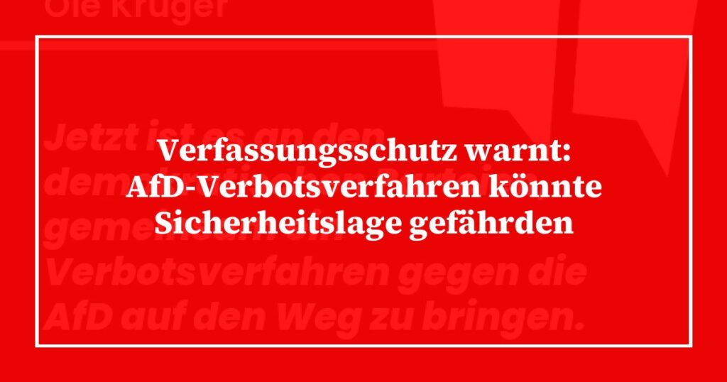 Verfassungsschutz warnt: AfD-Verbotsverfahren könnte Sicherheitslage gefährden