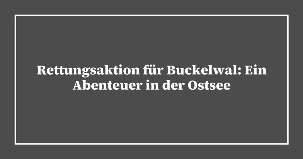 Rettungsaktion für Buckelwal: Ein Abenteuer in der Ostsee