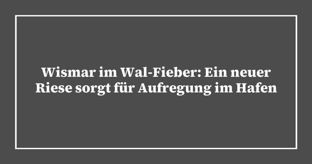 Wismar im Wal-Fieber: Ein neuer Riese sorgt für Aufregung im Hafen