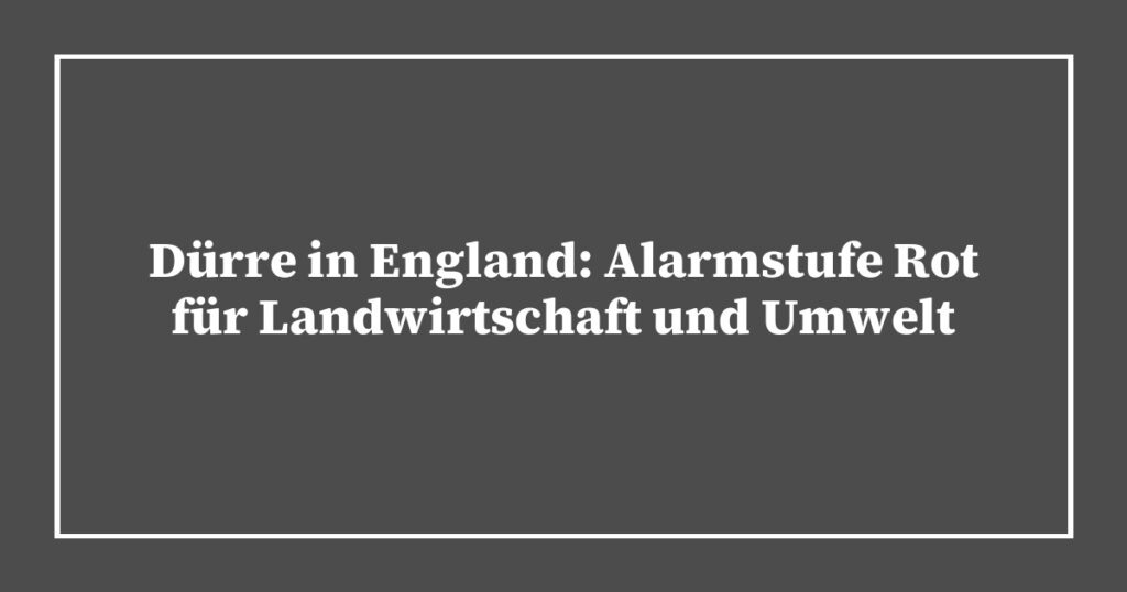 Dürre in England: Alarmstufe Rot für Landwirtschaft und Umwelt