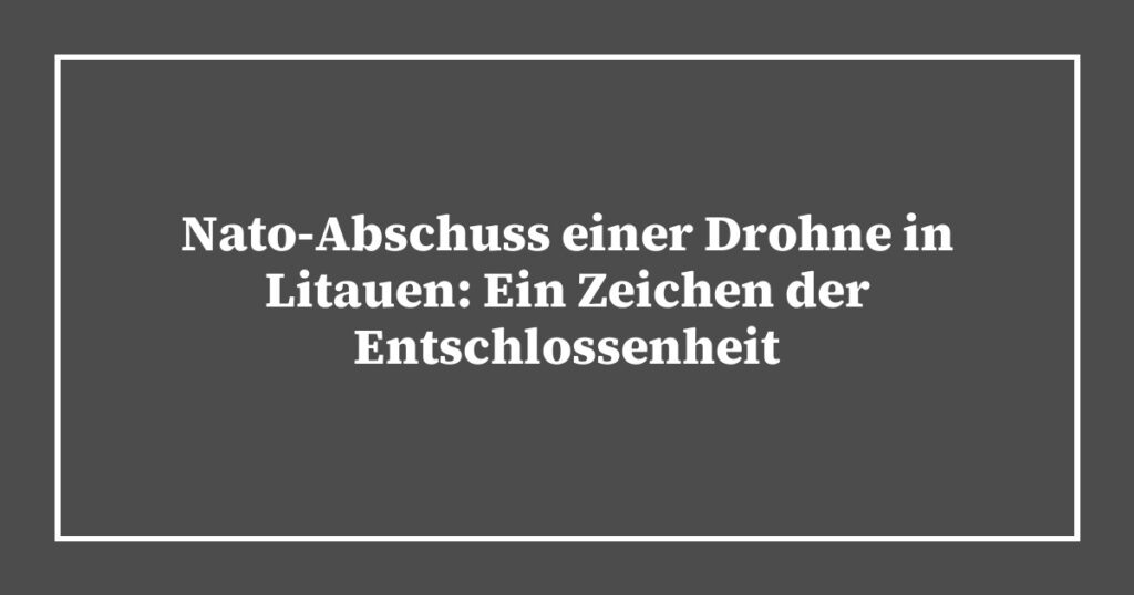 Nato-Abschuss einer Drohne in Litauen: Ein Zeichen der Entschlossenheit
